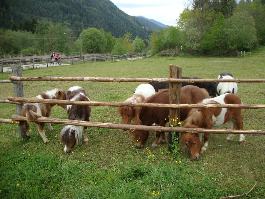 Winnewieser Vandoies Luaran gambar
