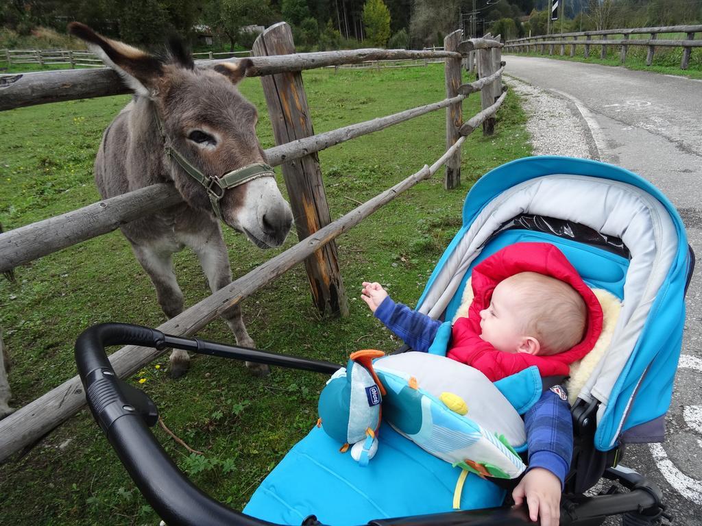 Winnewieser Vandoies Luaran gambar
